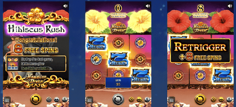 ハワイイアンドリーム　ボーナス