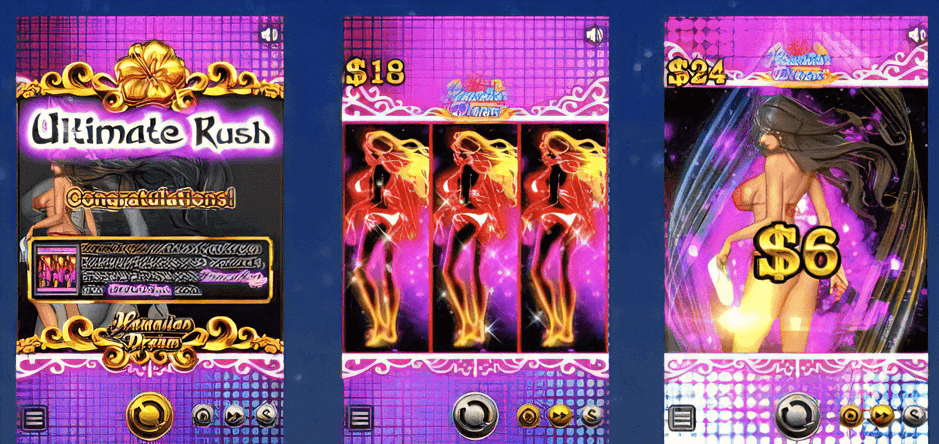 ハワイイアンドリーム　ボーナス