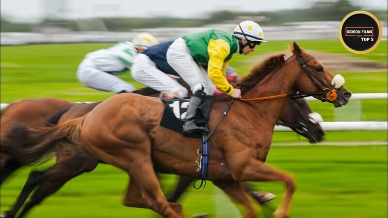 ネット競馬 馬券購入 買い方 即パット JRA 中央 地方 競馬対応